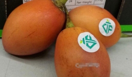 Hết Tết nhà giàu Việt đổ xô mua cà chua 1 triệu/kg