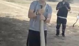 Video: Tay không bắt rắn hổ mang vua khổng lồ cực độc