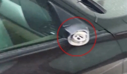 Xe sang BMW 2 tỷ bị trộm “vặt sạch” cả gương lẫn logo