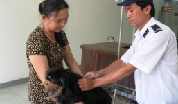 Người dân muốn nuôi chó phải thông báo với UBND xã