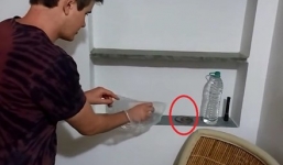 Du khách tá hỏa phát hiện rắn trong phòng khách sạn