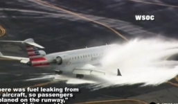 Video: Máy bay chở 48 người đâm vào hươu, hạ cánh khẩn