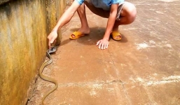 Video: Thanh niên liều lĩnh đùa giỡn rắn hổ ngựa