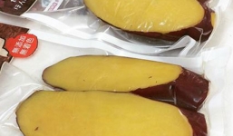 Chị em công sở ăn dè khoai lang Nhật nửa triệu/kg