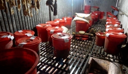 Vụ 8 người tử vong ở Lai Châu: Tiêu hủy gần 5.000 lít rượu độc