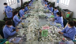 Núi tiền lẻ mà nhân viên xe bus kiểm đếm mỗi ngày