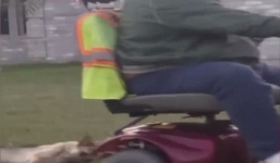 Video: Buộc chó béc giê sau xe rồi kéo lê trên vỉa hè