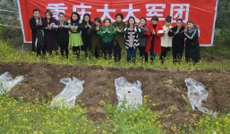 Chị em sau ly hôn rủ nhau chui xuống mồ để giải tỏa tâm lý