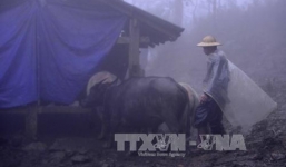 Nhiệt độ tại Sa Pa giảm sâu dưới 5 độ C