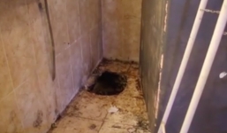 Nhóm trộm đào hầm trong 6 tháng trộm tiệm vàng và cái kết đắng