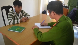 Trộm 6 con trâu mang đi bán trong đêm