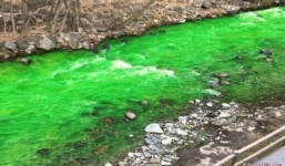 Sông Tây Ban Nha đổi màu xanh bất thường khiến dân lo sợ