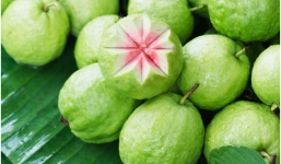 Những lợi ích tuyệt vời khi bạn ăn ổi