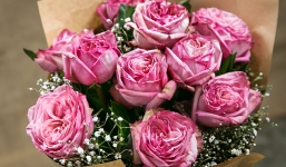 Hoa 8/3 tặng mẹ, vợ và người yêu đẹp và ý nghĩa nhất