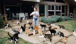 Người phụ nữ làm bạn với hơn 1000 con mèo