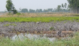 Nguyên PGĐ Sở Nông nghiệp  Bến Tre bị bắt