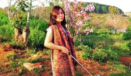 Vụ Phó giám đốc sở bẻ hoa: Hội Liên hiệp Phụ nữ VN lên tiếng 