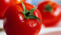 10 thực phẩm sinh độc tố khi bảo quản trong tủ lạnh