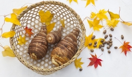 Công dụng thần kỳ của các loại khoai