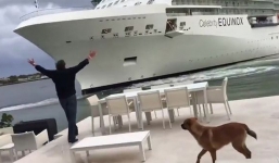 Video: Tàu du lịch khổng lồ suýt phá hủy một ngôi nhà