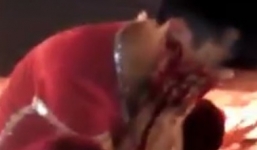 Video: Cá sấu cắn vào mặt diễn viên xiếc ở Hà Nam