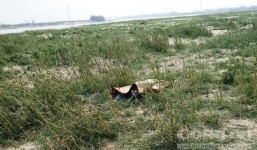 Phát hiện thi thể nam thanh niên đang phân hủy