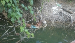 Phát hiện bộ xương người ở đập thủy điện Quảng Nam