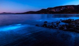 Video: Lý giải nguồn gốc ánh sáng xanh dương xuất hiện ở biển Australia