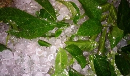 Mưa đá bất ngờ xuất hiện ở Thanh Hóa