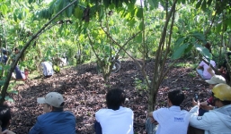 Phát hiện thi thể nam thanh niên bốc mùi trong rẫy cà phê
