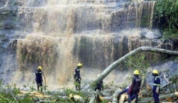 20 người tử vong vì bị cây rơi từ đỉnh thác đè trúng