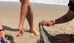 Thanh niên dùng răng cá mập mở lon bia gây phẫn nộ