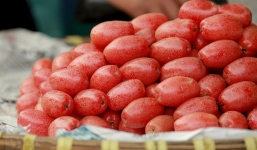 Những sai lầm khi ăn quả nhót bạn nên biết