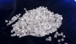 Giấu 1.000 viên kim cương trong giầy để buôn lậu