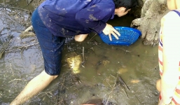 Tay không bắt gần 4 kg cá rô phi