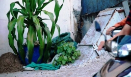 Hàng trăm người dân theo dõi công an khám nghiệm xác chú chó