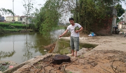 Vụ quan xã chặt cây gây phản cảm: Yêu cầu kỷ luật lãnh đạo xã 