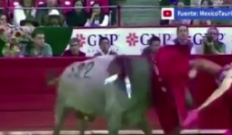 Video: Bò tót nổi điên húc thủng trực tràng đấu sĩ Mexico