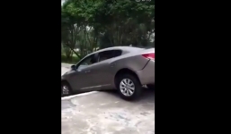 Video: Cố leo bậc thang, tài xế tự phá nát xe