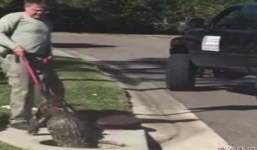 Video: Người đàn ông tay không kéo cá sấu 3m kẹt dưới cống