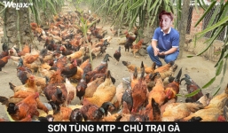 Sơn Tùng về vườn chăn gà, Ngọc Trinh bán túi xách - bộ ảnh chế sẽ khiến bạn 'cười không nhặt được mồm'