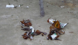 Em trai đập vỏ chai bia đâm chết anh ruột