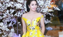 Nhật Kim Anh bị tai nạn xe hơi khi đi diễn ở Bến Tre