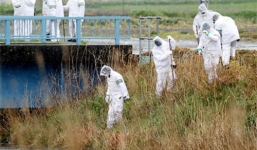 Xác định được thời gian bé gái Việt bị sát hại ở Nhật