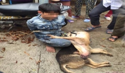 Bắt tên trộm chó trói vào cột cùng 2 con chó đã chết