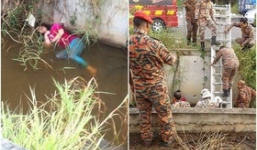 Cô gái trẻ ngủ dưới mương nước khiến cảnh sát tưởng chết đuối lao đến giải cứu