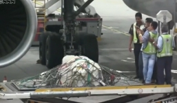 Video: Thi thể Kim Jong-nam được đưa lên máy bay