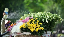 Miền Bắc có thể đón 2 đến 3 đợt không khí lạnh trong tháng Tư