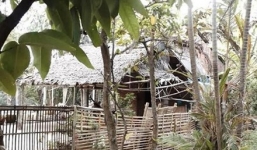 Bé gái 11 tuổi bị cha đẻ và ông nội cưỡng hiếp gây phẫn nộ