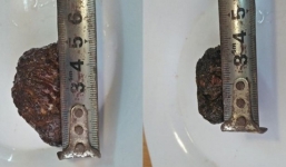 Làm thịt dê cái, phát hiện 2 hòn 'dương bảo' giá cả trăm triệu